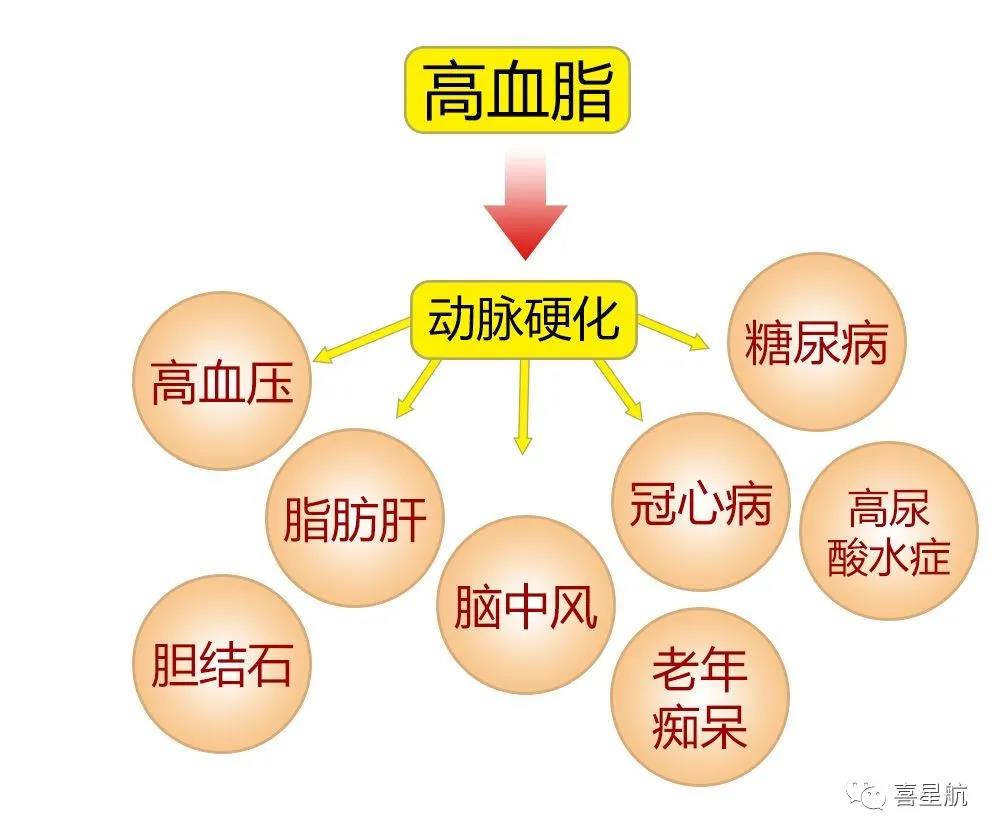 關(guān)于高血壓、糖尿病患者，9月1日起城鄉(xiāng)居民醫(yī)保門(mén)診用藥保(圖3)