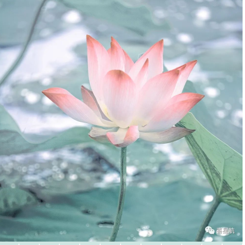 定了！今年居民醫(yī)保繳費(fèi)標(biāo)準(zhǔn)每人每年350元！